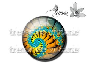 PA438 manual glasses Retro, snails, Swirl, spiral cabochons