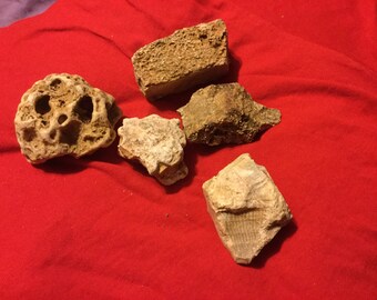 Rustic stones for Doorstops or paperweights