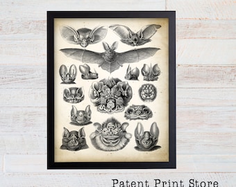 Ernst Haeckel Bats Print. Vampire Bats Poster. Art Nouveau Ernst Haeckel Print. Science Print. Science Gift. Bat Illustration. Educational