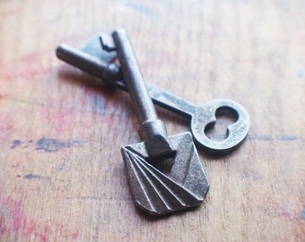 Antique Skeleton Key Duo - Rare Ornate Vintage Key