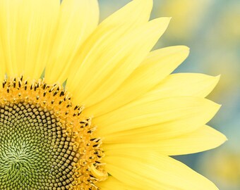 Sunflower Photograph, Country Wall Art, Kitchen Decor, Bright Yellow, Sunflower Print, Girls Nursery Decor, Yellow Wall Art, Farmhouse Decor