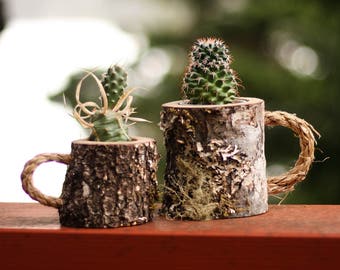 Succulent Plant Pot Air Plant Pot Air Plant Holder Air Plant Pod Mini Planter Miniature Pots Miniature Plant Pots Mini Plant Pots Rustic Pot