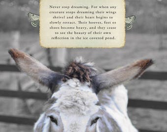 Matilda the donkey's hope