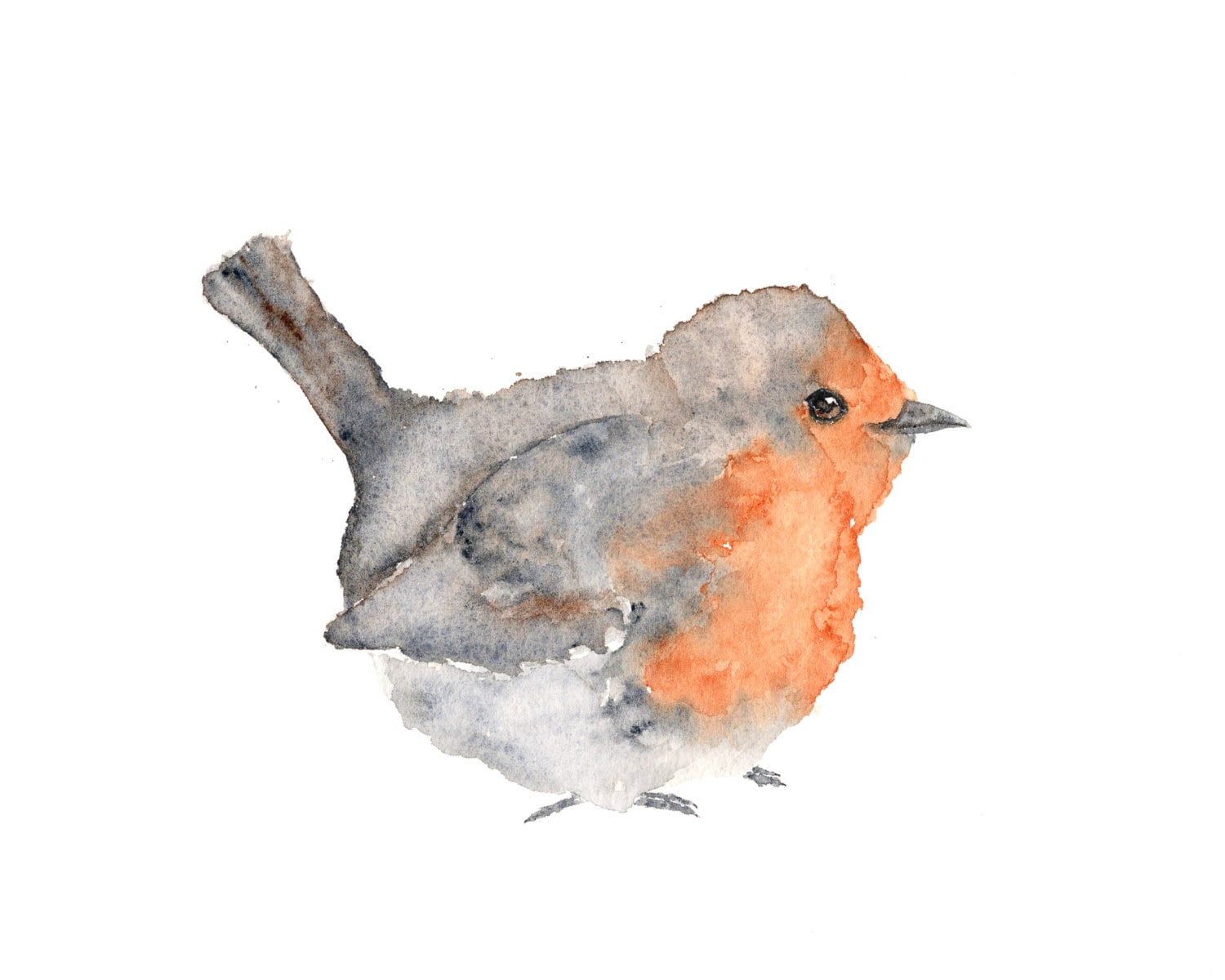 Watercolor painting watercolor bird painting bird art