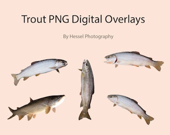 Fish PNG digital Overlay, photoshop overlays, trout stock, digital fish, png, overlays, photo overlay, photoshop, fish, trout, photoshop