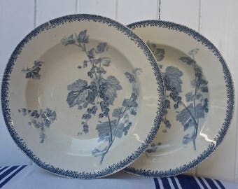 Sarreguemines U.etCie Deux assiettes à soupe anciennes modèle Groseilles