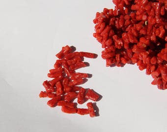 10 Red coral pieces Corsica certifié(4-5 mm) 1st class (m2)
