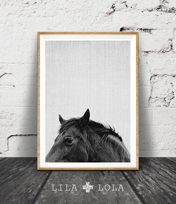 Horse print horse art horse photo black and white horse Horse print horse art horse photo black and white horse