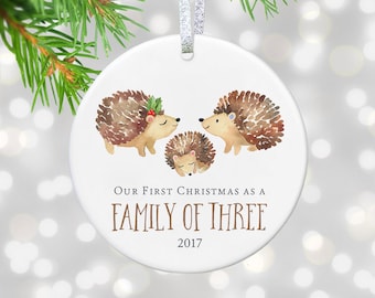 Rustic ornaments | Etsy New Parents Gift for New Baby Ornament First Christmas as Family of Three Christmas Ornament Newborn