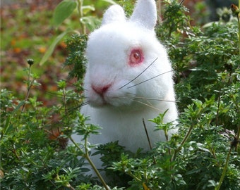 OOAK Needle felted Alpaca Life Size Baby Bunny Rabbit Poseable White albino w red glass eyes Free shipping