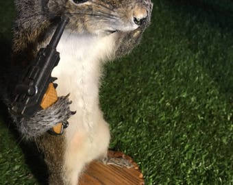 taxidermy stuffed squirrel