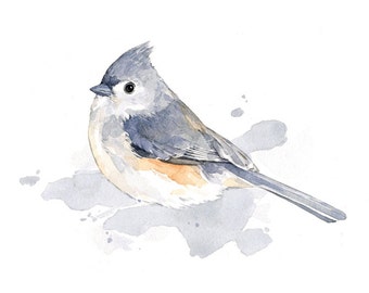 Tufted Titmouse Print - bird watercolor painting 5x7