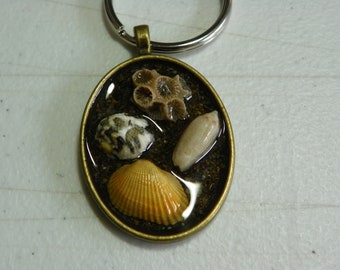 Sea Shell oval key ring - resin