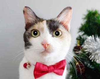 Merry Xmas breakaway Cat Collar
