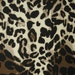 Leopard Ponte Knit, Leopard Knit Fabric, Leopard Apparel Fabric Yardage, Brown Taupe Cream Ponte Knit, 2- Way Stretch Fabric, De-Stashing