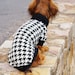 doxie clothes