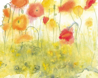 Icelandic Poppies Growing Watercolour Print