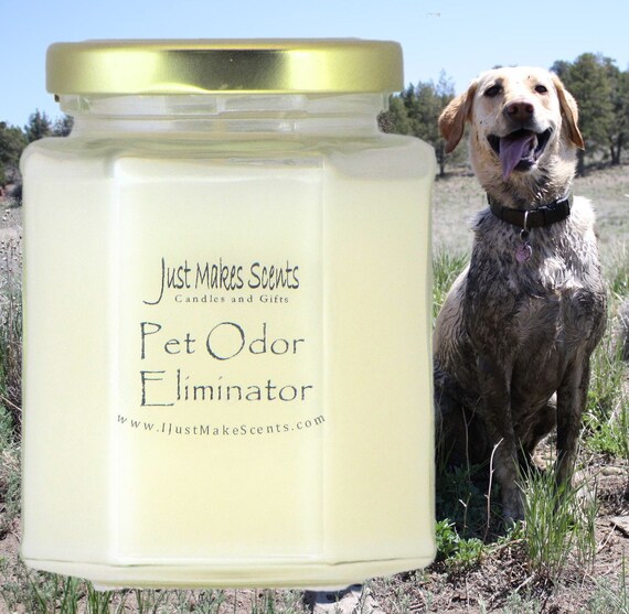 Pet House 9 oz Lemongrass Scented Pet Odor Candle, Clean Burning, Lo