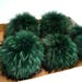 6-8,5" EXTRA LARGE FUR Pom Pom! High Quality Green Raccoon Pom Pom Hat Beanie Tuque Winter Knit Hat Large Pom Pom Fluffy Raccoon Fur Ball