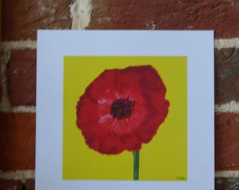 Red Poppy on yellow - 20cm x 20cm print