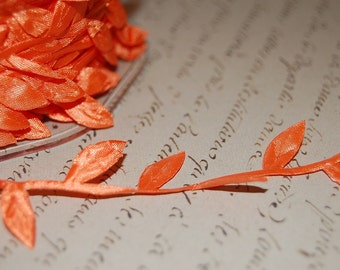 Orange Ribbon of Leaves and Trailing Vine Trim