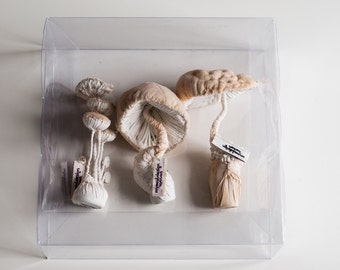 three white mushrooms textiel sculptures