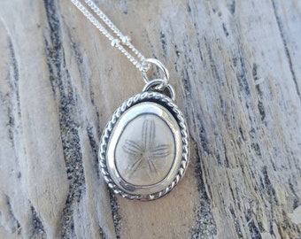 Fossil sand dollar pendant necklace