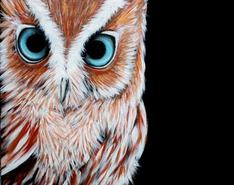 Blue eyed owl painting