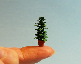 1/4 inch scale miniature-Philodendron