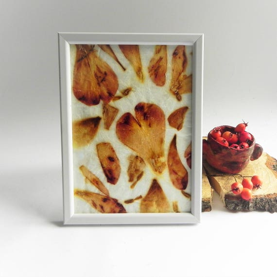 Gardening gift Tulip art pressed flower wall art decor Real