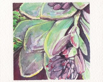 Mini Watercolor Painting Succulents - Lavender