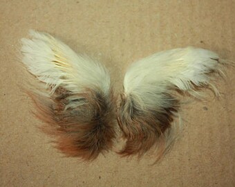 Wings - Natural Bird's Wings - stuck position