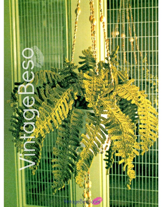 Fern pdf