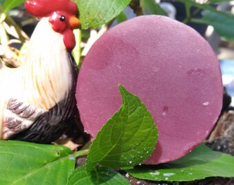 Hair Conditioner Bar - Cotton Blossom Hair Conditioner - Leave in Conditioner, Conditioner Bar, Hair Detangler, Solid Detangling Bar