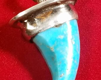 Sleeping Beauty Turquoise Bear claw Pendant