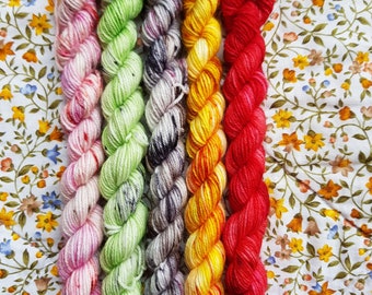 Wizard Of Oz inspired mini skein set.5 x 10g.