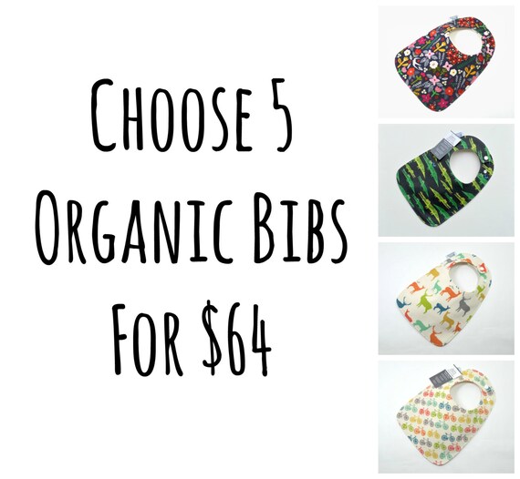 Organic Baby Bibs Set of 5 Bibs Feeding Bibs Girl Bibs