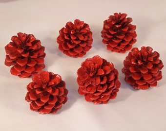 Wedding Decorations for Bridal Bouquets, Corsages and Boutonnieres. Valentine Decorations for Table Decor and Beautiful Alters or Archways.