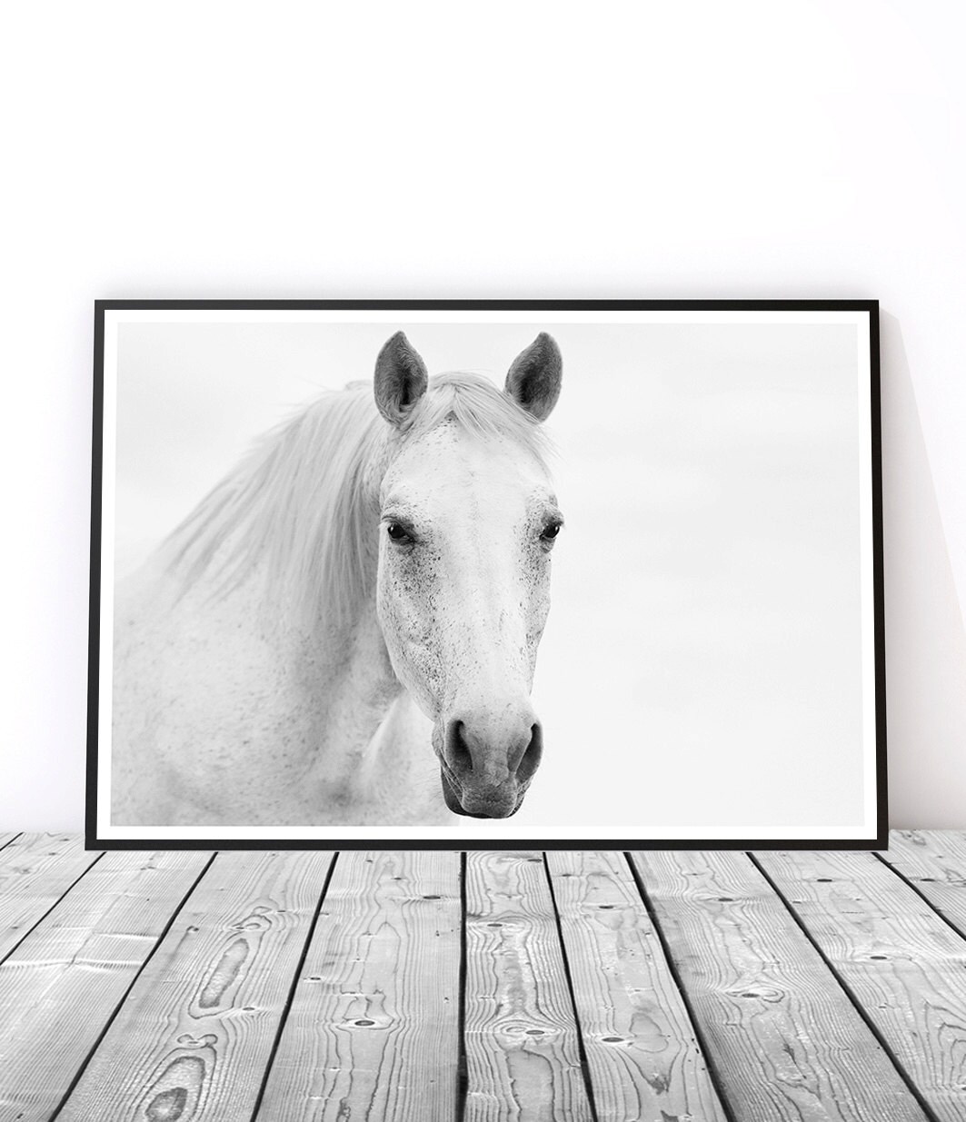 White Horse Photography Horse Wall Art Gift for Horse Lover