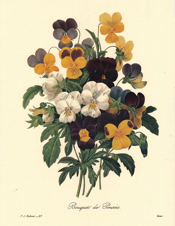 A Bouquet of Pansies