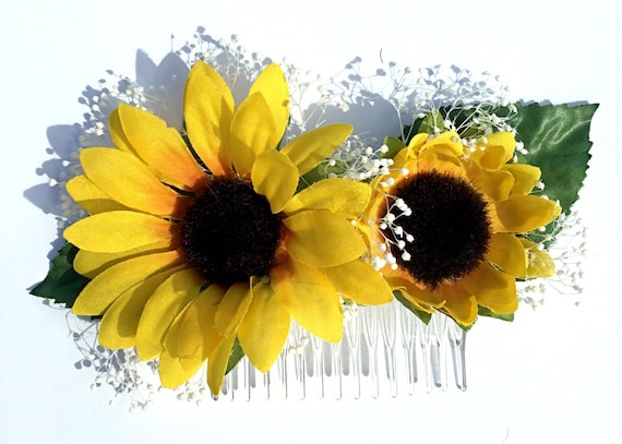 sunflower hairlip