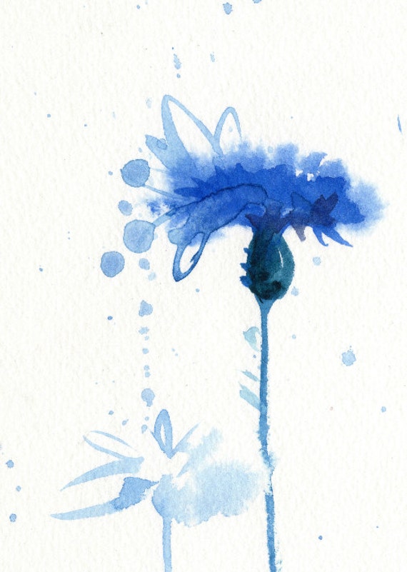 blue watercolor flower print cornflower watercolor blue