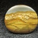 Wild horse picture jasper freeform cabochon