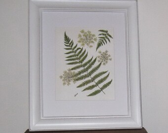 Spring ferns and Queen Annes Lace in 11x14 white frame