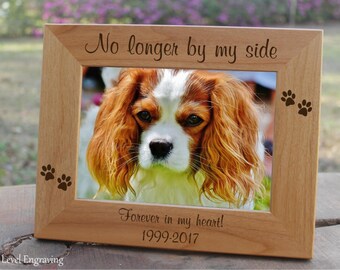 End Pet Sympathy Gift Dog Memorial Cat Passing Away Personalized