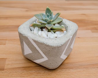 Concrete Planter, Succulent Plant Pot, Handmade, Home Decor, Cement Planter, Includes Succulent, Gift Idea, office decor