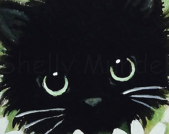 Black Cat Daisies - Cat Art Print - by Shelly Mundel