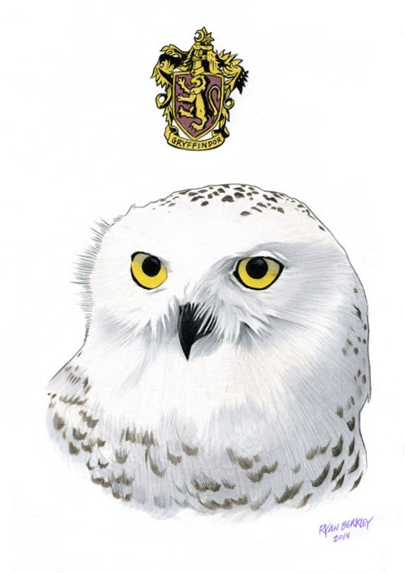 Hedwig The Owl Limited Edition Art Print by Ryan Berkley