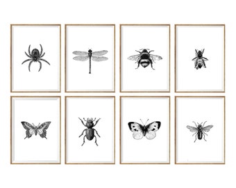 Insect Art Print SET of 8. insect wall art, insect art prints, insect wall decor, insect illustration, insects drawing, black and white art
