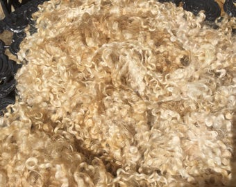 Wensleydale Raw Wool